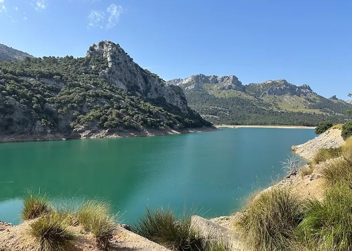 Apartman Spacious Open Plan Ground Floor *