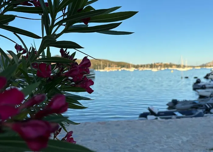 Spacious Open Plan Ground Floor